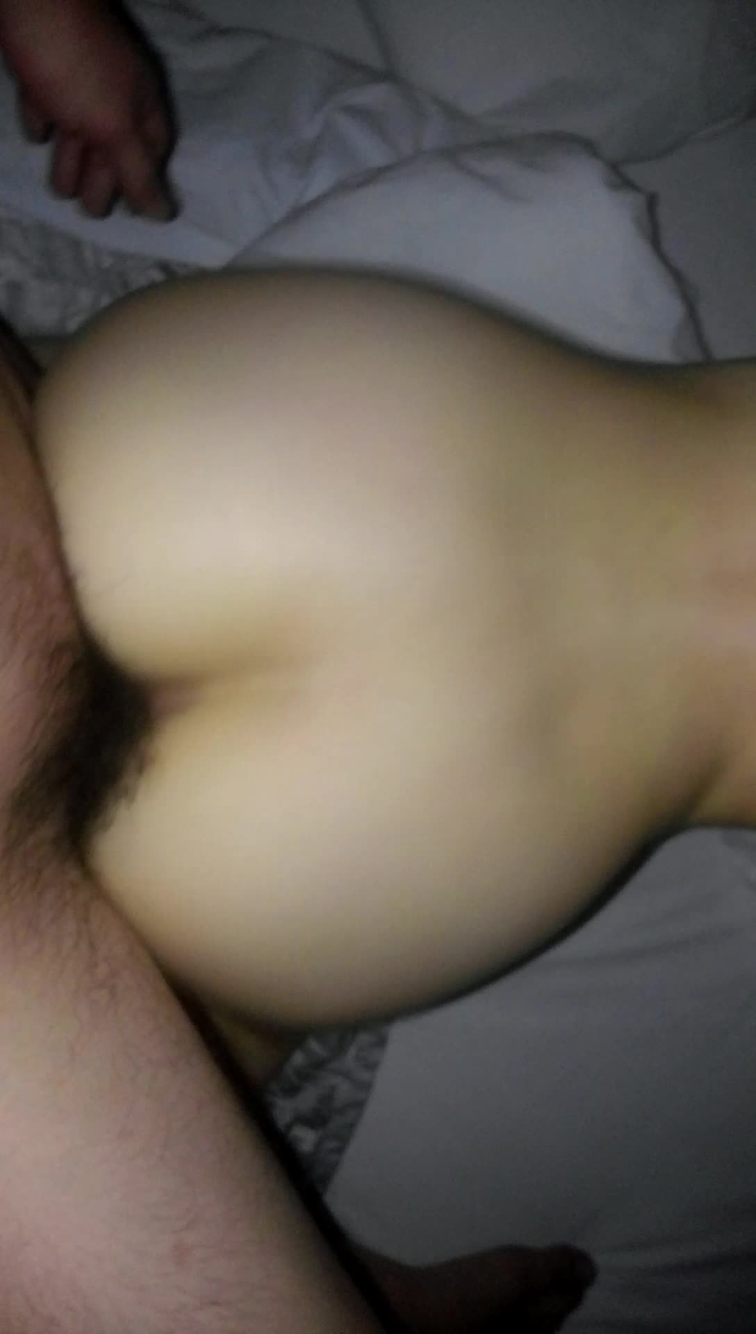 로지호텔 (2)